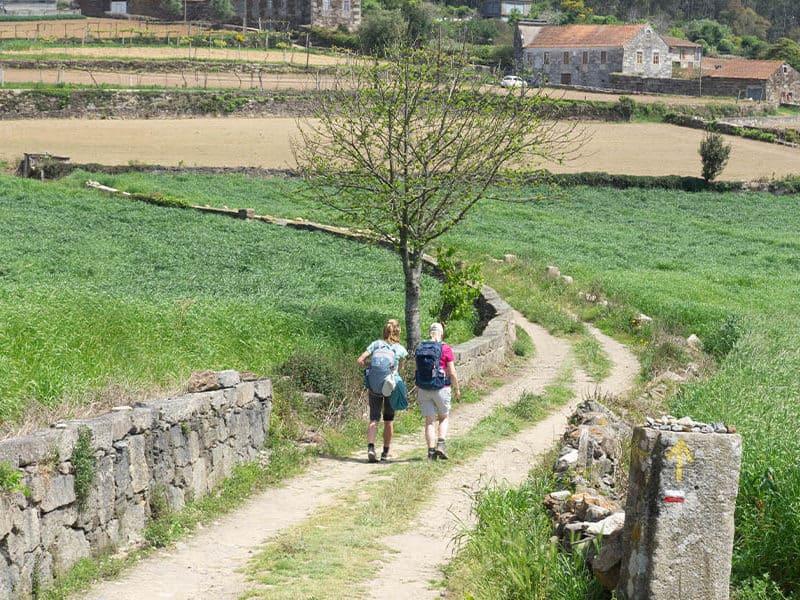 pelgrimeren naar Santiago