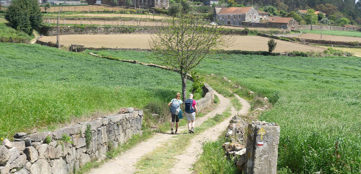 pelgrimeren naar Santiago