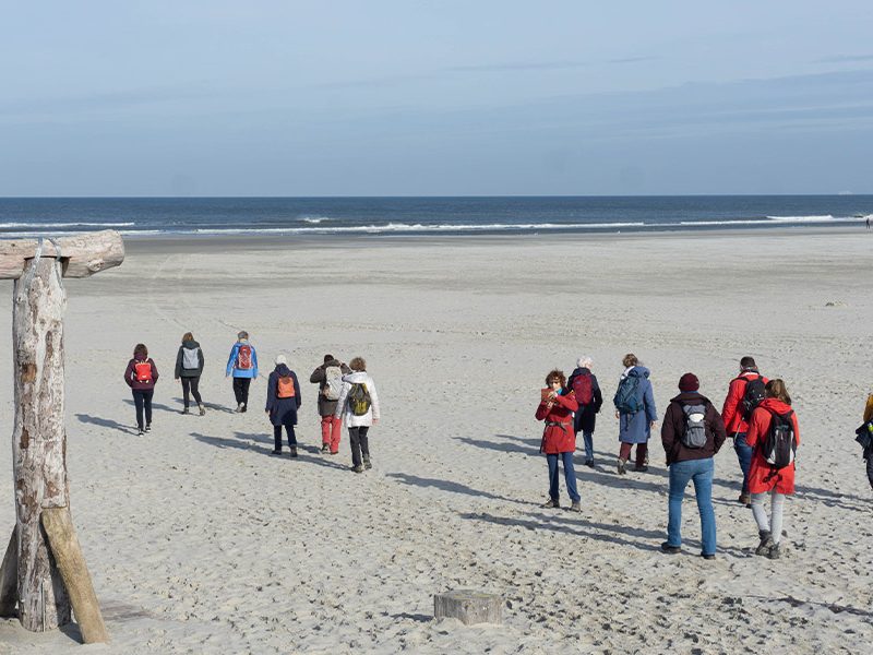 wandeling tijdens retraite Terschelling
